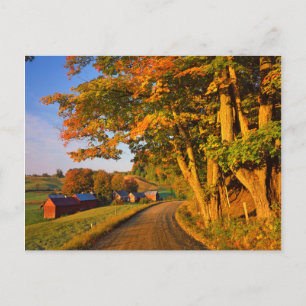 USA, Vermont, South Woodstock Vykort