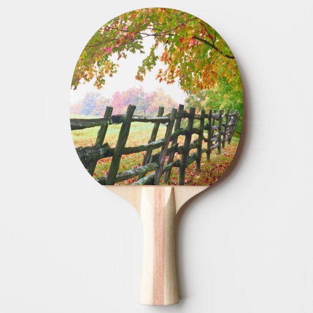 USA, Vermont. Staket under höstlig lövverk. Pingisracket (Framsidan)