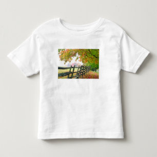 USA, Vermont. Staket under höstlig lövverk. T-shirt