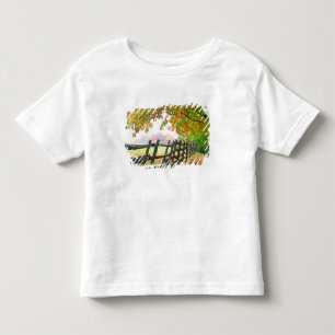 USA, Vermont. Staket under höstlig lövverk. T Shirt