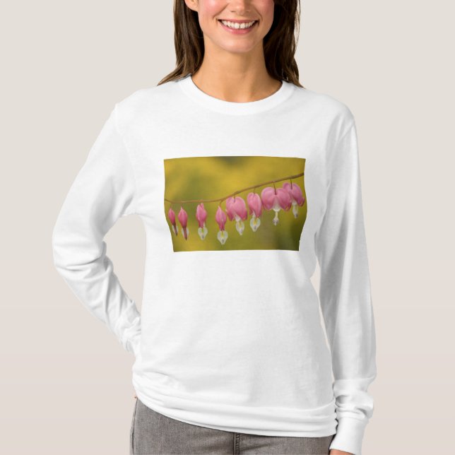 USA, Virginia, Arlington, närbild på rosa Tee Shirt (Framsida)