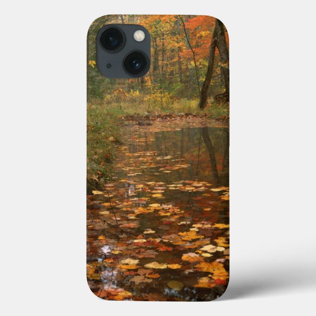 USA, Virginia, Autumn in Douthat State Park (Baksida)