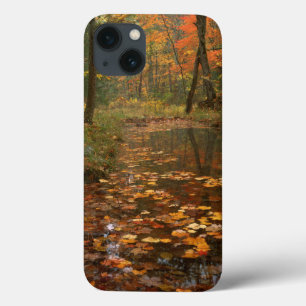USA, Virginia, Autumn in Douthat State Park