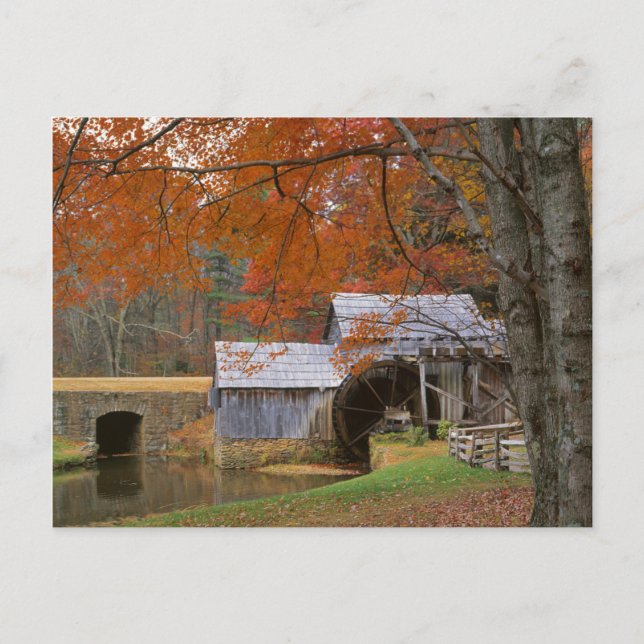 USA, Virginia, Blue Ridge Parkway, Höst Vykort (Framsida)