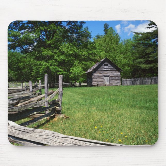USA, Virginia, Blue Ridge Parkway, Puckett 2 Musmatta (Framsidan)