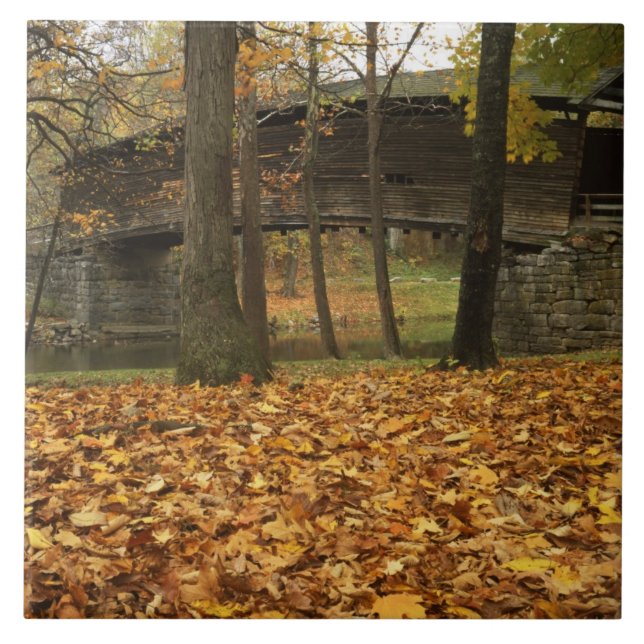 USA, Virginia, Covington, Humpback Covered Kakelplatta (Framsidan)