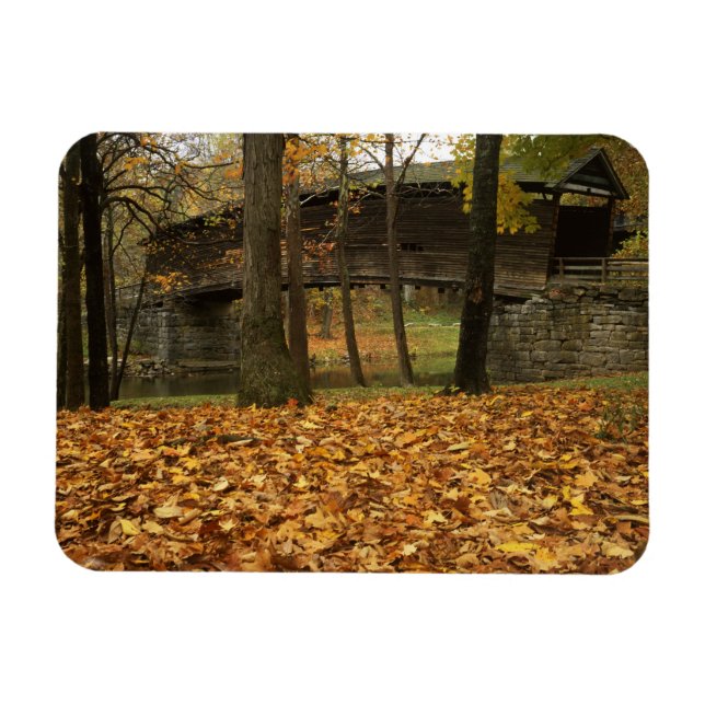 USA, Virginia, Covington, Humpback Överbyggd Magnet (Horisontell)