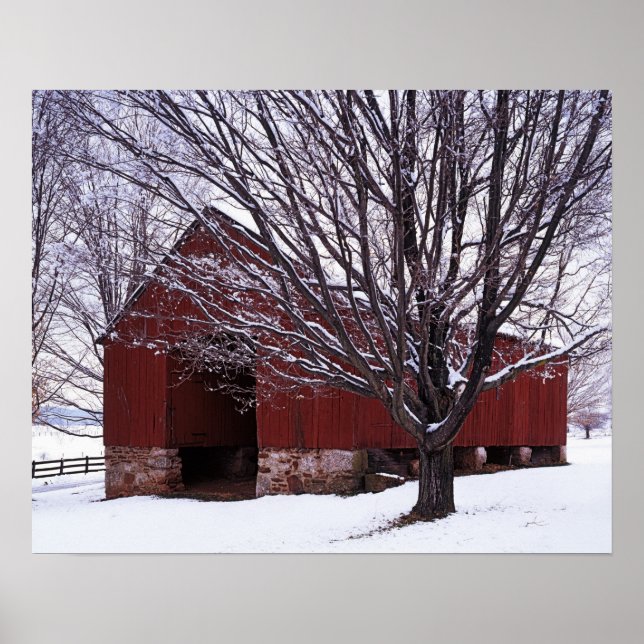 USA, Virginia, Fairfax County, Barn and Maple Poster (Framsidan)
