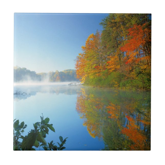 USA, Virginia, Fairy Stone State Park 2 Kakelplatta (Framsidan)