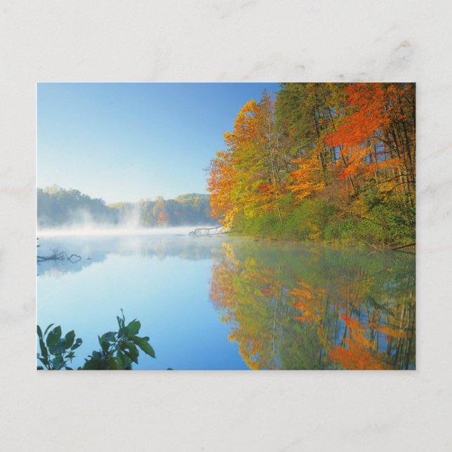 USA, Virginia, Fairy Stone State Park 2 Vykort (Framsida)