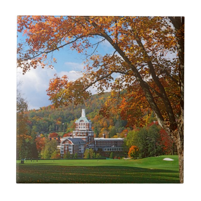 USA, Virginia, Hett Vår, Homestead Kakelplatta (Framsidan)