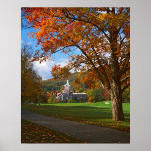 USA, Virginia, Hett Vår, Homestead Poster