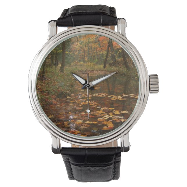 USA, Virginia, Höst i Douthat State Park Armbandsur (Framsida)