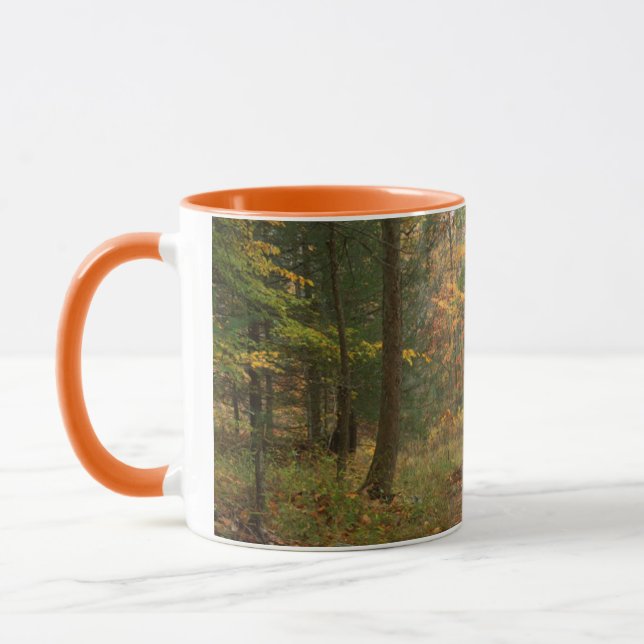 USA, Virginia, Höst i Douthat State Park Mugg (Vänster)