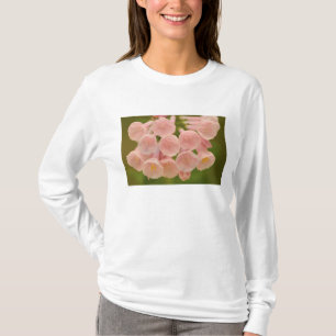 USA, Virginia, Manassas, Manassas National Tee