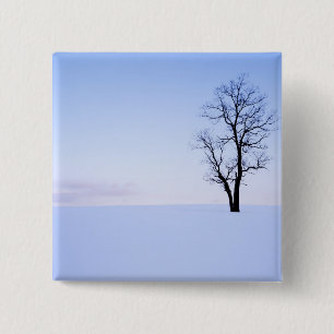 USA, Virginia, Page County, Robinia Knapp