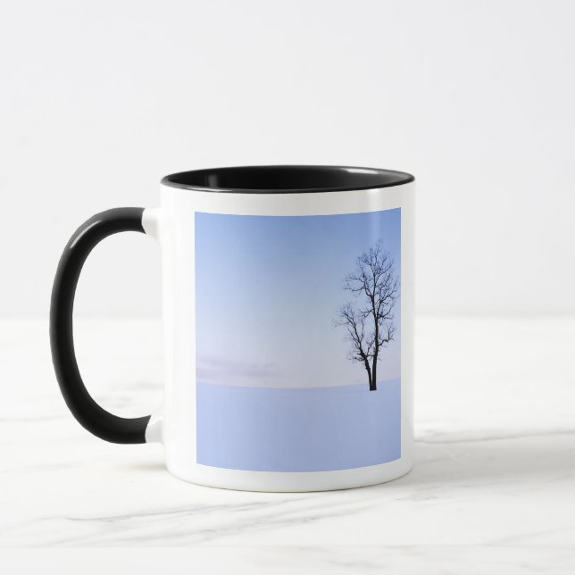 USA, Virginia, Page County, Robinia Mugg (Vänster)