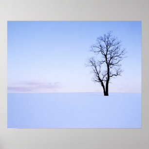 USA, Virginia, Page County, Robinia Poster