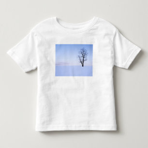 USA, Virginia, Page County, Robinia T Shirt