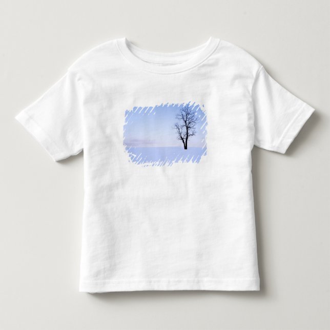 USA, Virginia, Page County, Robinia Tee (Framsida)