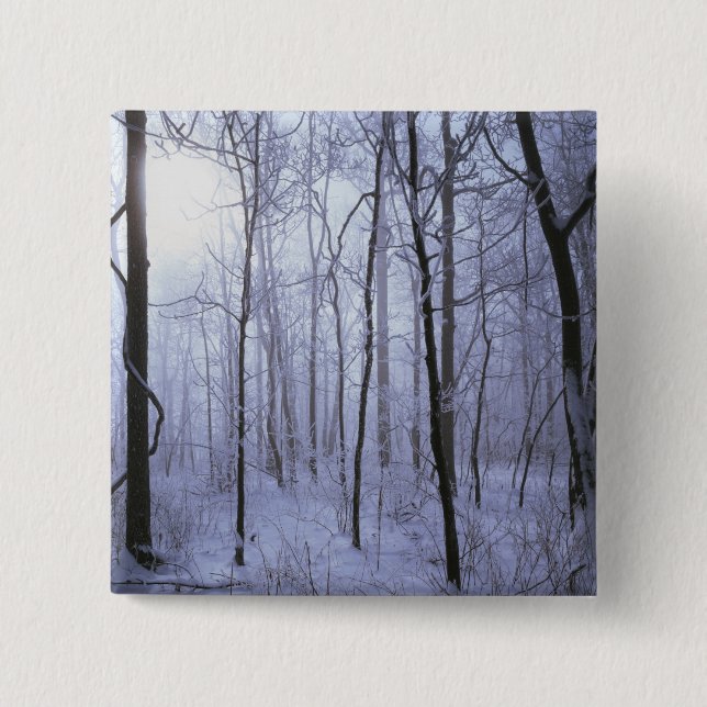 USA, Virginia, Richard Thompson Wildlife Area. Knapp (Framsida)
