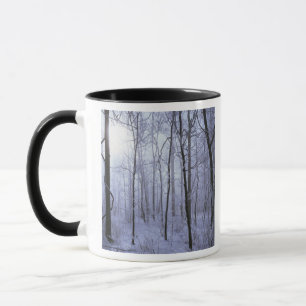 USA, Virginia, Richard Thompson Wildlife Area. Mugg