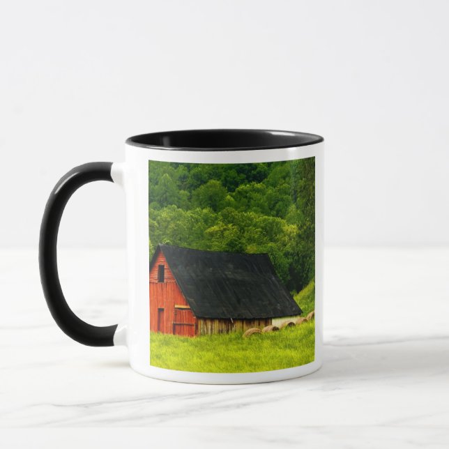 USA, Virginia, Shenandoah National Park, 2 Mugg (Vänster)