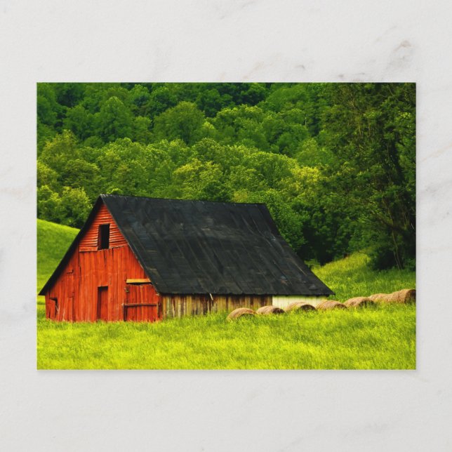 USA, Virginia, Shenandoah National Park, 2 Vykort (Framsida)