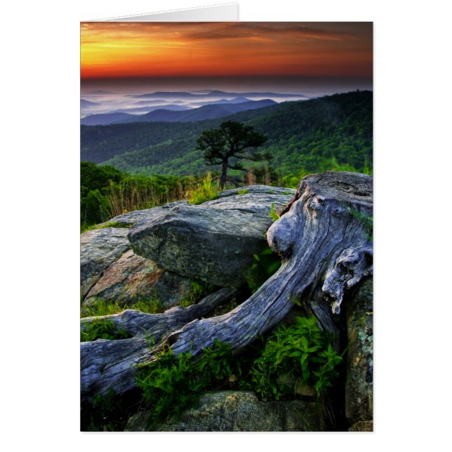 USA, Virginia, Shenandoah National Park. Hälsningskort (Framsidan)
