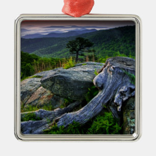 USA, Virginia, Shenandoah National Park. Julgransprydnad Metall