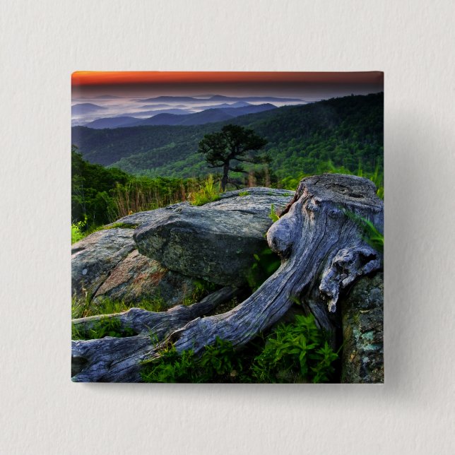 USA, Virginia, Shenandoah National Park. Knapp (Framsida)