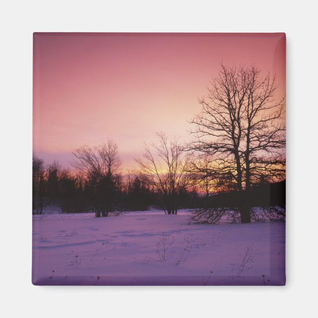 USA, Virginia, Shenandoah National Park Magnet (Framsidan)