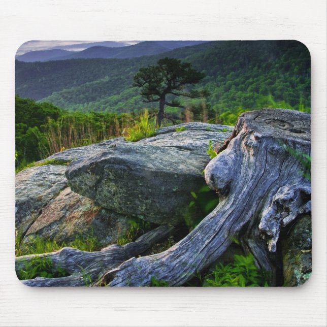 USA, Virginia, Shenandoah National Park. Musmatta (Framsidan)