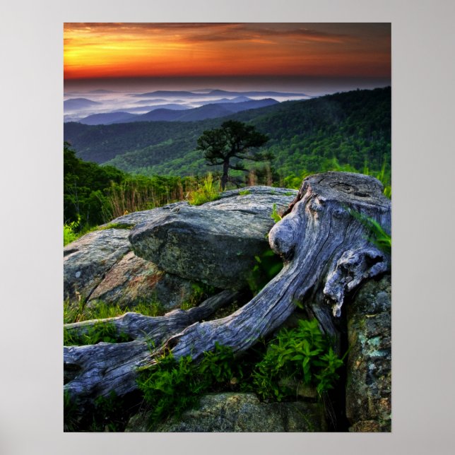 USA, Virginia, Shenandoah National Park. Poster (Framsidan)