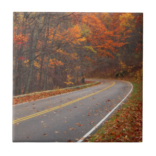 USA, Virginia, Shenandoah National Park, Skyline Kakelplatta
