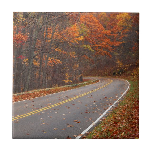 USA, Virginia, Shenandoah National Park, Skyline Kakelplatta (Framsidan)