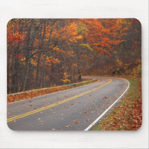 USA, Virginia, Shenandoah National Park, Skyline Musmatta