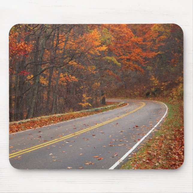 USA, Virginia, Shenandoah National Park, Skyline Musmatta (Framsidan)