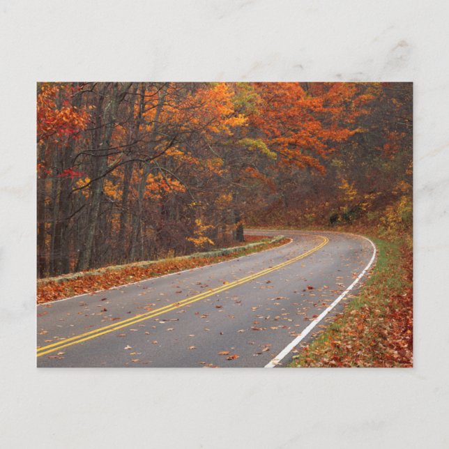 USA, Virginia, Shenandoah National Park, Skyline Vykort (Framsida)