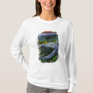 USA, Virginia, Shenandoah National Park. T Shirt