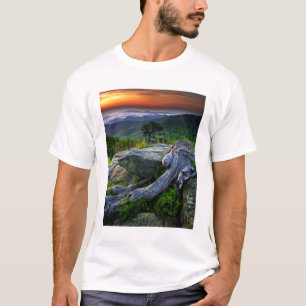 USA, Virginia, Shenandoah National Park. Tee