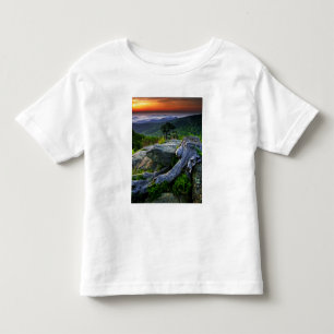 USA, Virginia, Shenandoah National Park. Tee