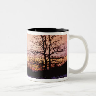 USA, Virginia, Shenandoah National Park, Två-Tonad Mugg
