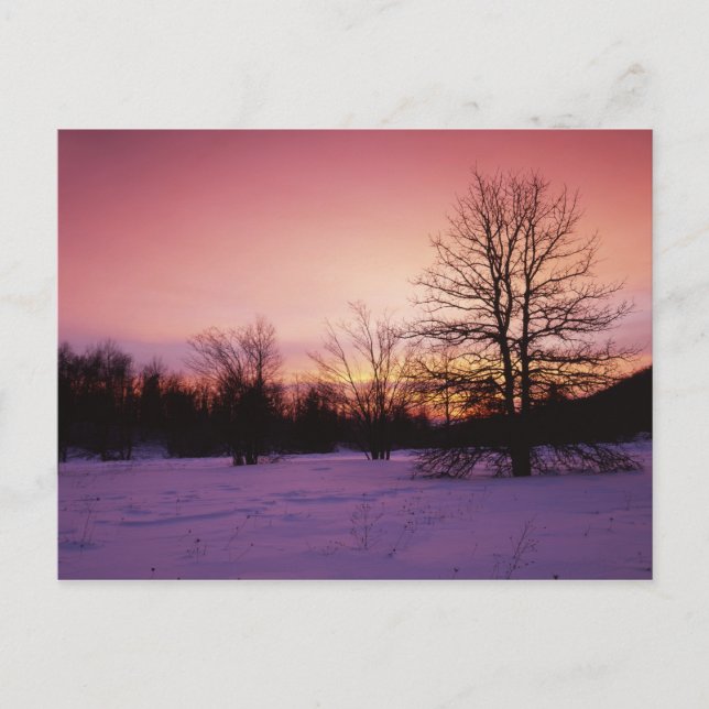 USA, Virginia, Shenandoah National Park Vykort (Framsida)