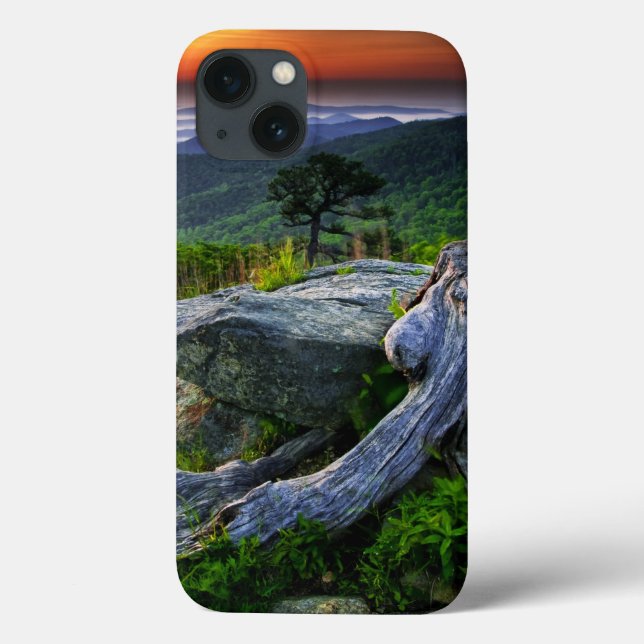 USA, Virginia, Shenandoah Nationalpark. (Baksida)