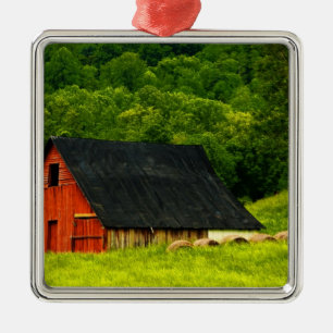 USA, Virginia, Shenandoah Nationalpark, 2 Julgransprydnad Metall
