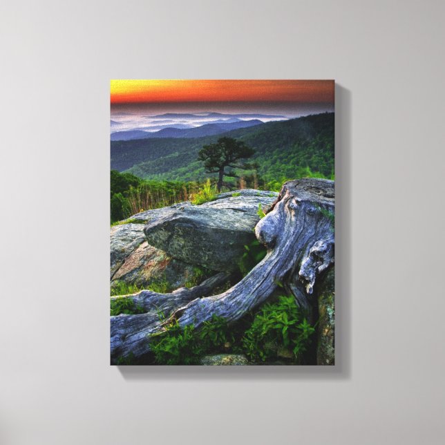 USA, Virginia, Shenandoah Nationalpark. Canvastryck (Framsida)