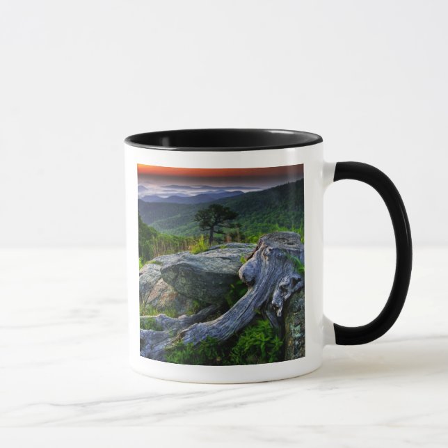 USA, Virginia, Shenandoah Nationalpark. Mugg (Höger)