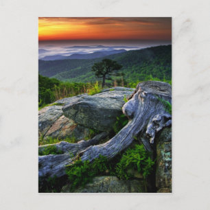 USA, Virginia, Shenandoah Nationalpark. Vykort