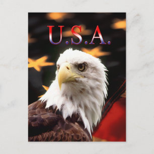 USA VYKORT